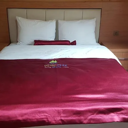 Apart Otel Derepark Uzungöl